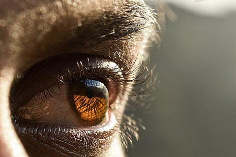 Photo: iStock