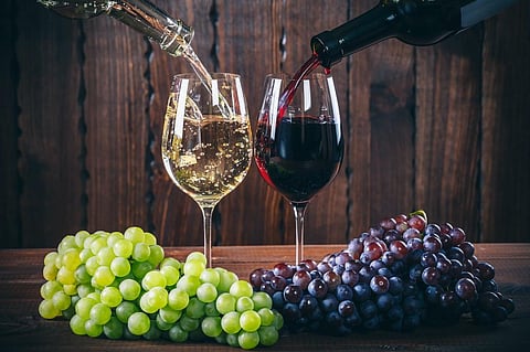 Fairtrade: Study finds premium label does not always benefit workers on South African wine farms