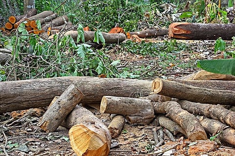 The apex court observed that MMRC had attempted to overreach the court’s jurisdiction. Representative photo: iStock.