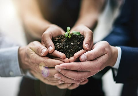 Photo: iStock