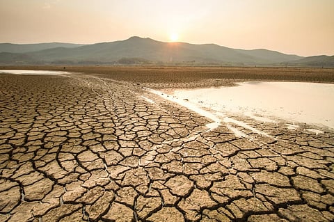 Photo: iStock