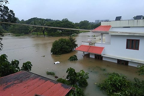 फोटो साभार : विकिमीडिया कॉमन्स