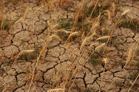 Photo: iStock
