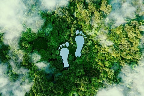 Image: iStock.
