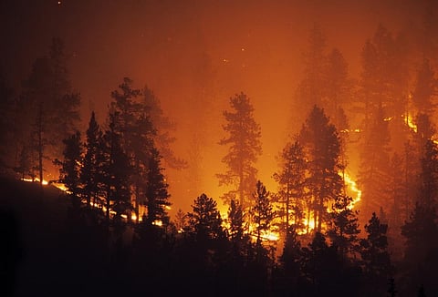 Representative photo: iStock.