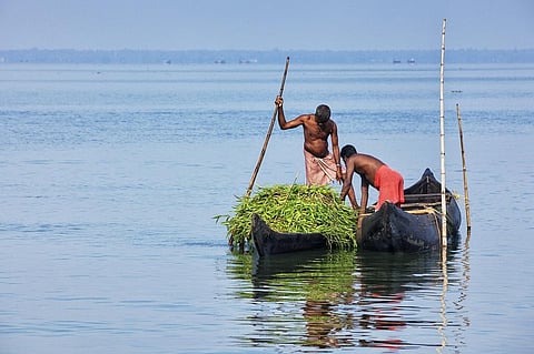 While rivers get all the attention rightfully, lakes have and continue to provide more of the water supply and sustain societies, across the world and, are often not well managed. Representative photo: iStock.