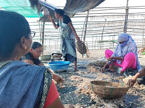 Fisherfolk sorting prawns caught from River Kolak. Photo: Seema Prasad
