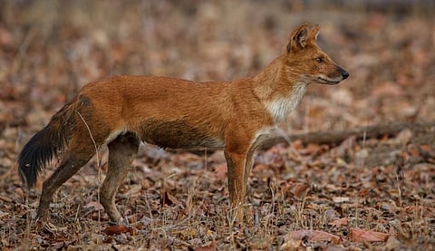 Photo: iStock