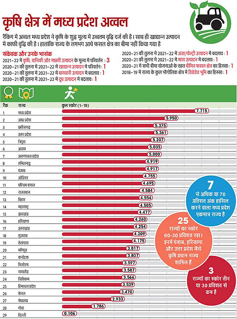 एसओई इन फिगर्स 2023: कृषि क्षेत्र में मध्य प्रदेश अव्वल, पंजाब नौंवे और हरियाणा 16वें स्थान पर