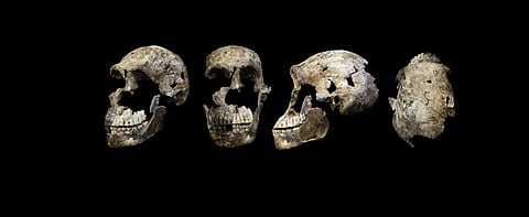 Photo: Wikimedia, CC BY-SA