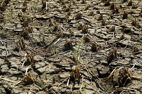 The absence of pre-monsoon rains has delayed ploughing and sowing in this Kharif season in different areas. Representative photo: iStock.