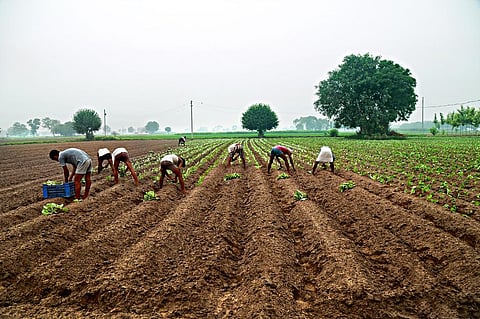 On the current trajectory, emissions from food systems alone will exceed 1.5°C between 2051-2063. Representative photo: iStock.