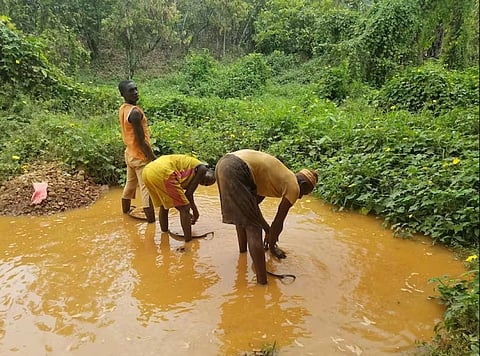 Ghana’s informal mining harms health and the land — but reforms must work with people, not against them