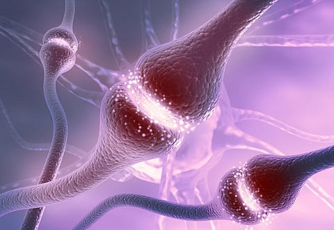 Neurotechnology could threaten our rights to human dignity, freedom of thought and privacy. Representative photo: iStock.