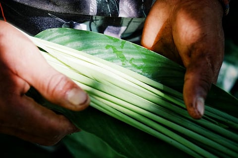Photo: iStock