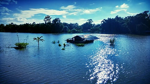 Floods in Assam in 2015. Photo: Pradip Nemane / Wikimedia Commons