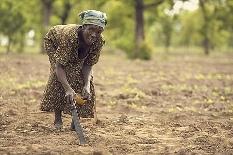 Land ownership disputes are a common feature in Ghana’s legal system. Photo: Wikimedia Commons