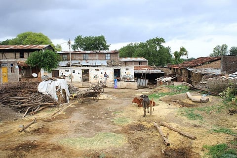 Droughts can either force people to relocate or trap them where they are. Photo: Mike Sagma / Pexels