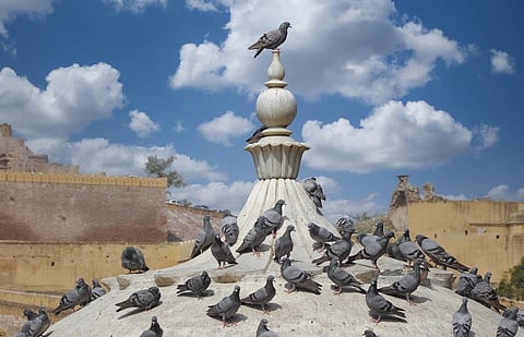 Photo: iStock