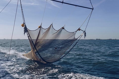 Seabed trawling’s impact on the climate may be wildly overestimated — new study