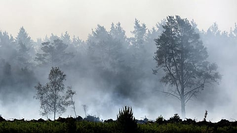 ‘Zombie fires’ in the Arctic: Canada’s extreme wildfire season offers a glimpse of new risks in a warmer, drier future
