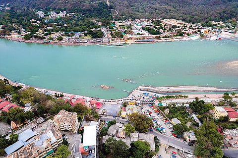 Against the afforestation target of 134,106 hectares, the project could only manage to cover 30,071 hectares