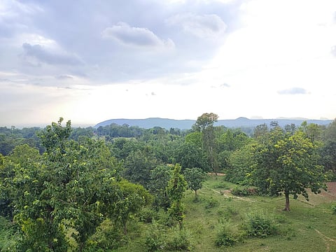 Ajodhya Hills, where the Turga and Bandu Pump Storage Projects have been planned. Photo: Mrinalini Paul