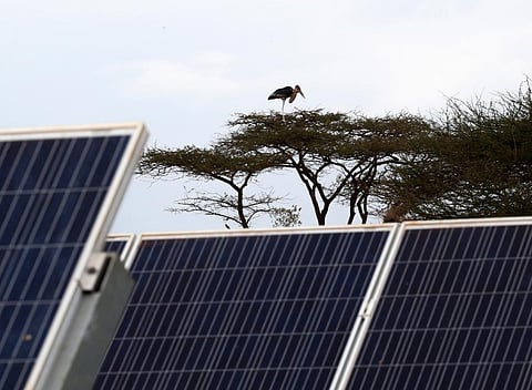 Africa has seen very sluggish policy reforms to promote RE in the region. Photo: iStock