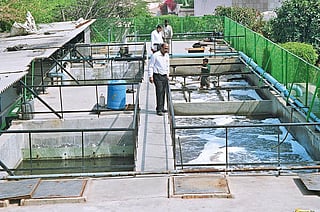 DTE Coverage: World Water Week 2023