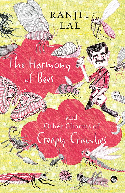 Book Excerpt: As bee populations continue to fall, we are heading for serious trouble