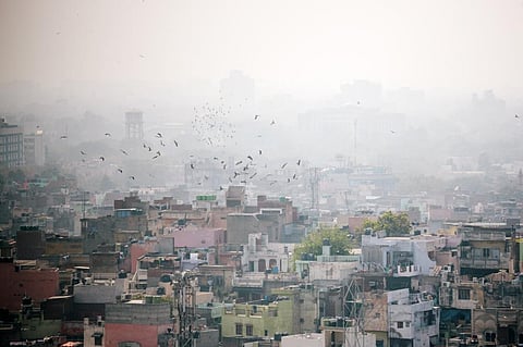 A denser population means more human lives are impacted by each pollution source. Photo: iStock