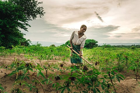 Photo: iStock