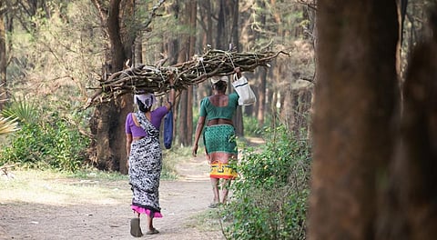 Adivasi women with wood in Dahanu, Maharashtra. Photo: iStock