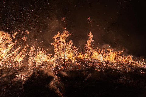 The Central and Eastern Siberian Taiga region saw 13,000 fires in the 2016-2020 period and the burned area was a little over 16 MHa. Photo: iStock