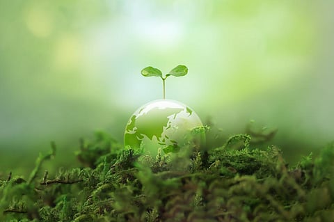 Photo: iStock