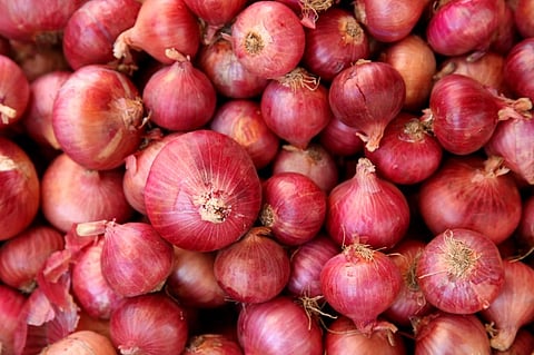 Erratic rainfall ranging from poor to excess, COVID-19 pandemic and climate change have continuously affected the production costs of onions. Photo: iStock