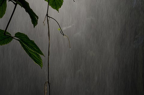 Rains in October would go unaccounted for as monsoon rainfall by the India Meteorological Department. Photo: iStock