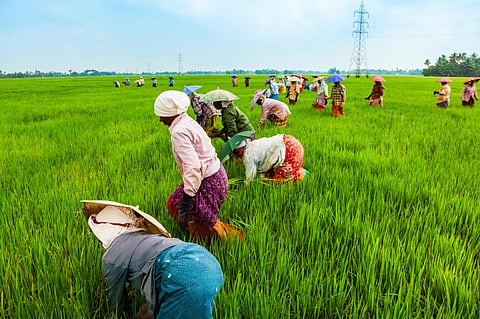 Photo: iStock