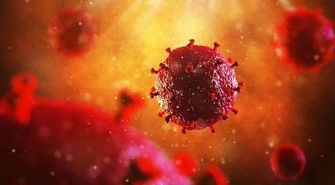 3D illustration of HIV Virus. Photo: iStock