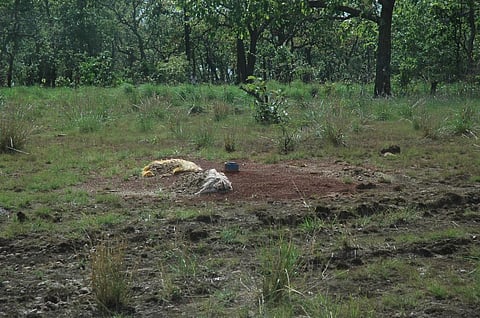 A group of local activists are using social impact assessment studies to fight against bauxite mining by Vedanta on the Niyamgiri hills. File photo: CSE