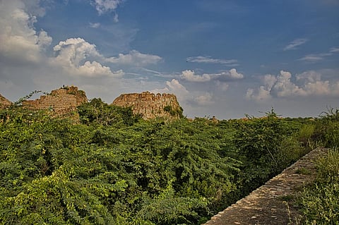 Photo: iStock