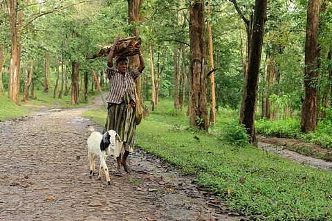 Photo: iStock