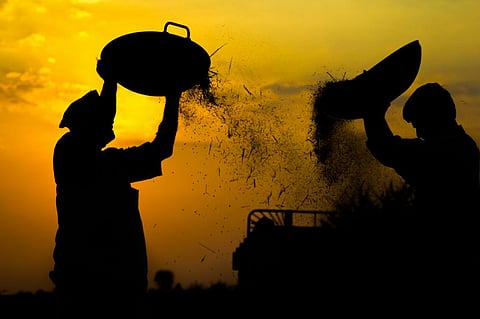 A normal and well-distributed monsoon is crucial for the 61 per cent of Indian farmers who are dependent on rains for practising agriculture. Photo: iStock