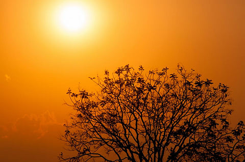 Unusual heatwaves hit South America in early spring this year, following a hotter-than-usual winter season. Photo: iStock