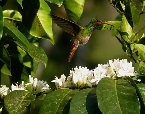 Photo: iStock