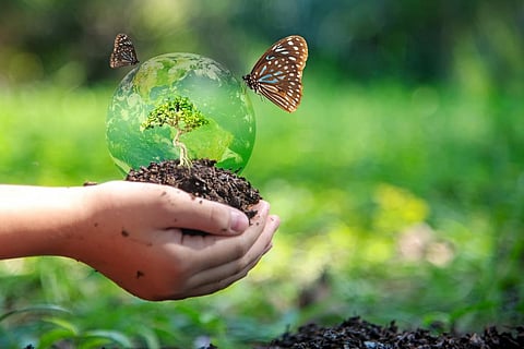 Photo: iStock