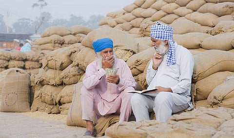 The effect of new and existing policies was particularly pronounced on Indian wheat, causing implicit taxation to increase by close to $10 billion. Photo: iStock