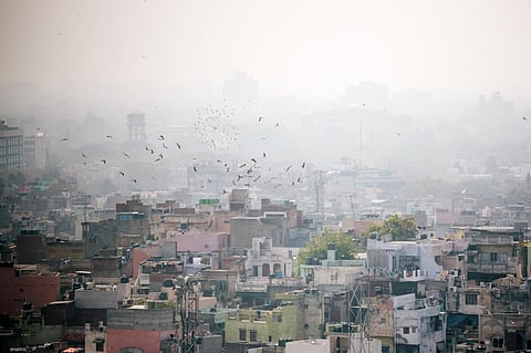 Photo: iStock