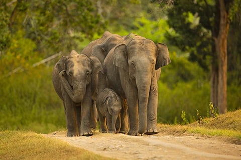 Photo: iStock