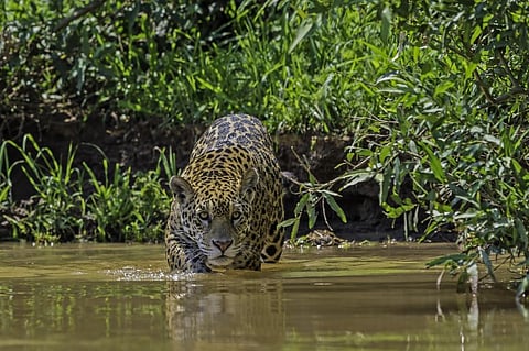 Photo: iStock